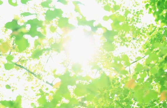 多治見市で塗装、下地処理から丁寧に　株式会社　康塗